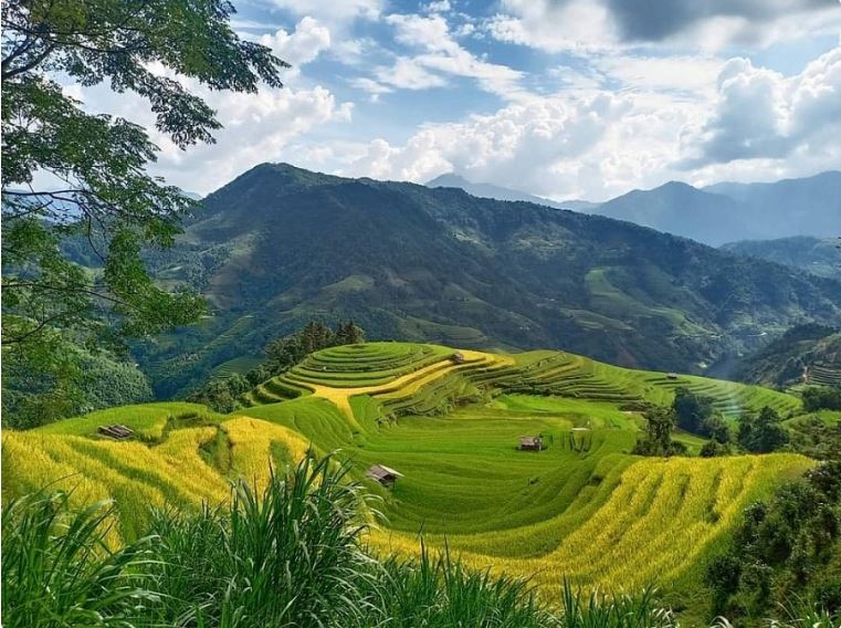 Các dân tộc sinh sống chủ yếu là Thái, Mường, Dao, Mông,... ở Tây Bắc; Tày, Nùng, Dao, Mông,... ở Đông Bắc.
