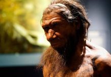 Đức: Lộ diện lò hắc ín 200.000 năm, người khác loài điều hành
