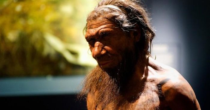 Tuong sap mo ta nguoi khac loai Neanderthals min - Đức: Lộ diện lò hắc ín 200.000 năm, người khác loài điều hành