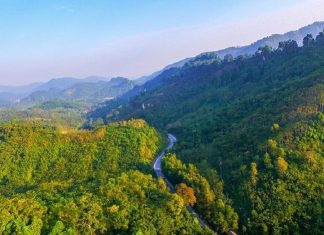 Đến năm 2022, Việt Nam có gần 15 triệu ha rừng Đến năm 2022, Việt Nam có gần 15 triệu ha rừng