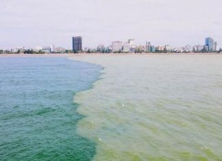 Video: Nước biển Sầm Sơn bất ngờ chia thành 2 màu xanh - vàng lạ mắt