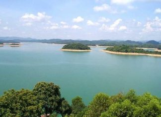 Vườn Quốc gia Bến En bảo tồn, phát triển các loài thú gặm nhấm quý