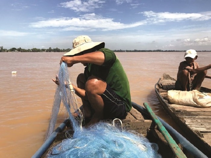 Anh Thảo lặng lẽ với công việc của mình.