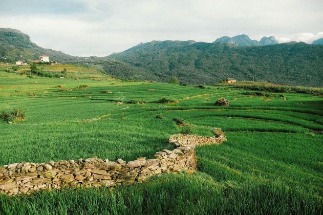 Y T&yacute; c&aacute;ch thị trấn Sa Pa khoảng 80km, Đ&igrave;nh Minh cho biết c&oacute; những đoạn đường đang l&agrave;m n&ecirc;n rất xấu, v&igrave; vậy sẽ l&agrave; thử th&aacute;ch cho những bạn đi xe m&aacute;y v&agrave; tay l&aacute;i yếu