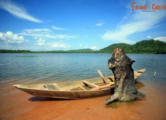 Kho tri thức Điểm dừng chân đặc biệt trên đường từ Bản Đôn đi Pleiku