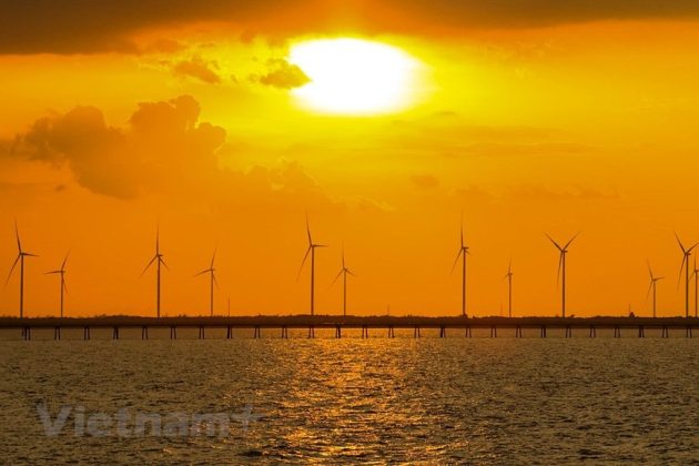 Nếu c&oacute; thời gian ở lại l&acirc;u hơn, bạn n&ecirc;n tản bộ tr&ecirc;n những c&acirc;y cầu theo hướng ra biển để ngắm nh&igrave;n thật gần những c&acirc;y chong ch&oacute;ng gi&oacute;.