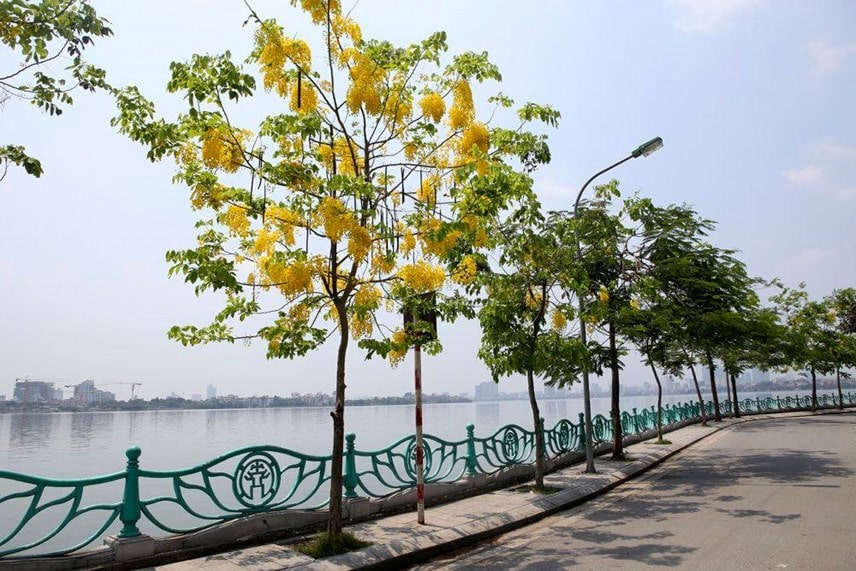 Một góc hồ Tây. 