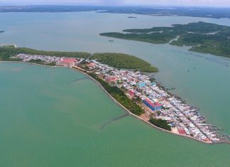 Cần Giờ sẽ là thành phố trong rừng