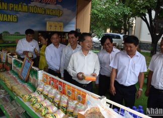 Đà Nẵng: Chuẩn hóa cơ chế chính sách, huy động toàn nguồn lực xây dựng nông thôn mới