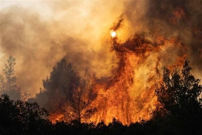 Nhiệt độ tiếp tục tăng, Italy và Hy Lạp chật vật ứng phó cháy rừng