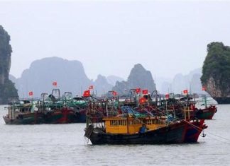 Bão số 1 còn cách Móng Cái khoảng 60km, gió giật cấp 8
