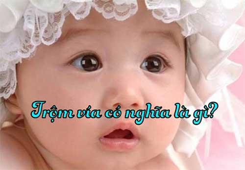 Cấu trúc “Nói + X” và câu chuyện văn hóa - Tác giả: PGS. TS Phạm Văn Tình Cấu trúc “Nói + X” và câu chuyện văn hóa - Tác giả: PGS. TS Phạm Văn Tình
