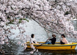 Một thoáng văn hóa Nhật Bản: Thiên nhiên đất nước mặt trời mọc – Tác giả: Hữu Ngọc Một thoáng văn hóa Nhật Bản: Thiên nhiên đất nước mặt trời mọc - Tác giả: Hữu Ngọc