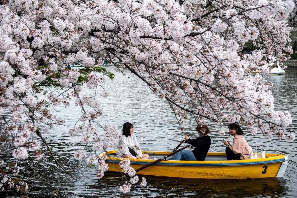 Một thoáng văn hóa Nhật Bản: Thiên nhiên đất nước mặt trời mọc - Tác giả: Hữu Ngọc Một thoáng văn hóa Nhật Bản: Thiên nhiên đất nước mặt trời mọc - Tác giả: Hữu Ngọc