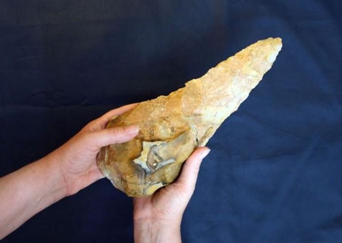 Đào được kho báu 'sốc' 300.000 năm do loài người khác chôn giấu