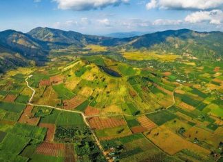 Chính thức ban hành Quy chế hoạt động của Hội đồng điều phối vùng Tây Nguyên