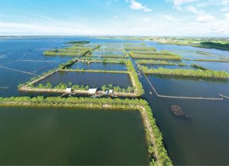 Đầm phá vẫy gọi