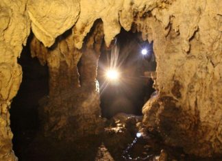 Khai quật khảo cổ tại hang Dơi, tỉnh Tuyên Quang