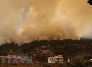 Tây Ban Nha: Cháy rừng tại đảo La Palma, hơn 2.500 người phải sơ tán