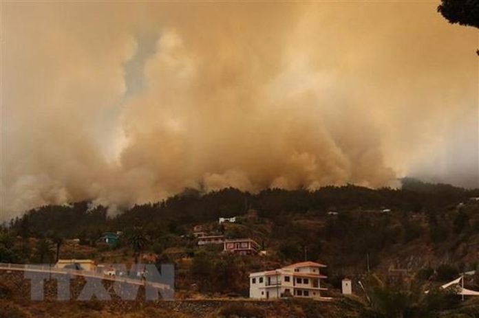 Tây Ban Nha: Cháy rừng tại đảo La Palma, hơn 2.500 người phải sơ tán