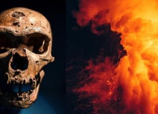 Tìm ra sát thủ khiến loài 'siêu nhân' não lớn hơn chúng ta biến mất