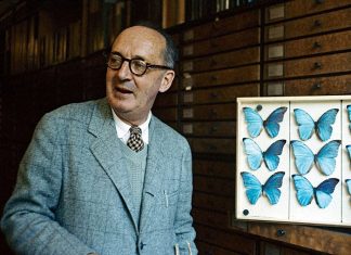 Cuộc đời Vladimir Nabokov trước ‘Lolita’ – Tác giả: Vũ Bân Cuộc đời Vladimir Nabokov trước 'Lolita' - Tác giả: Vũ Bân