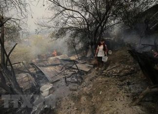 Cháy rừng tại Algeria khiến ít nhất 60 người thương vong