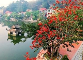 Những nhà báo – nhà thơ làm rạng danh quê hương Xứ Đoài Những nhà báo - nhà thơ làm rạng danh quê hương Xứ Đoài