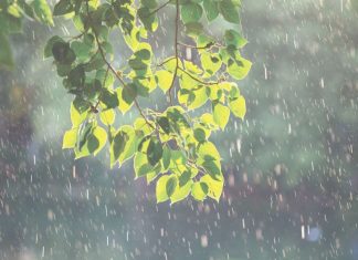 Bản tin dự báo, cảnh báo xu thế thời tiết trên đất liền thời hạn đến 10 ngày (Từ đêm 29/7 đến ngày 08/8)