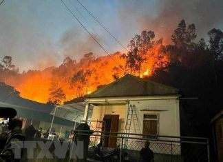 Nghệ An: Xuyên đêm nỗ lực dập tắt cháy rừng ở huyện Nam Đàn