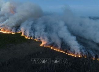 Cháy rừng thiêu hủy hơn 10 triệu ha tại Canada