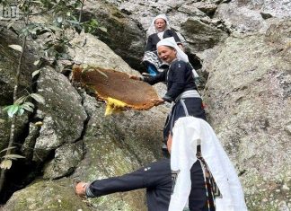 Rộn ràng ngày thu hoạch sáp ong ở Hoài Khao Rộn ràng ngày thu hoạch sáp ong ở Hoài Khao