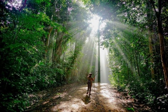 Những điều thú vị tại Nam Cát Tiên - vansudia.net Những điều thú vị tại Nam Cát Tiên