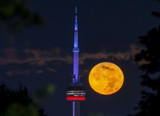 Chùm ảnh: Siêu trăng xanh lớn nhất năm 2023 rực sáng, gây ấn tượng trên bầu trời khắp thế giới