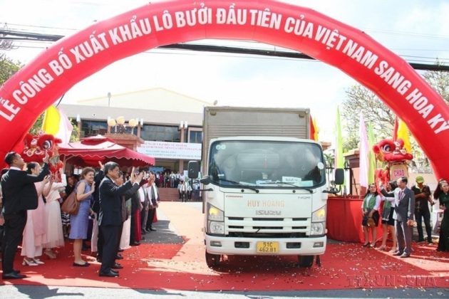 Việc xuất khẩu l&ocirc; bưởi ch&iacute;nh ngạch đầu ti&ecirc;n của Việt Nam sang Hoa Kỳ (12/2022) l&agrave; sự kiện c&oacute; &yacute; nghĩa rất quan trọng gi&uacute;p doanh nghiệp Việt Nam c&oacute; cơ hội tiếp cận thị trường Hoa Kỳ rộng lớn, đồng thời gi&uacute;p doanh nghiệp v&agrave; n&ocirc;ng d&acirc;n thu được lợi nhuận cao hơn từ loại quả đặc sản n&agrave;y. (Ảnh: C&ocirc;ng Tr&iacute;/TTXVN)