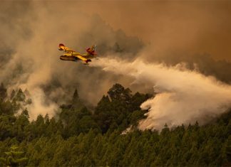 Hàng nghìn người sơ tán do cháy rừng trên đảo Tenerife của Tây Ban Nha