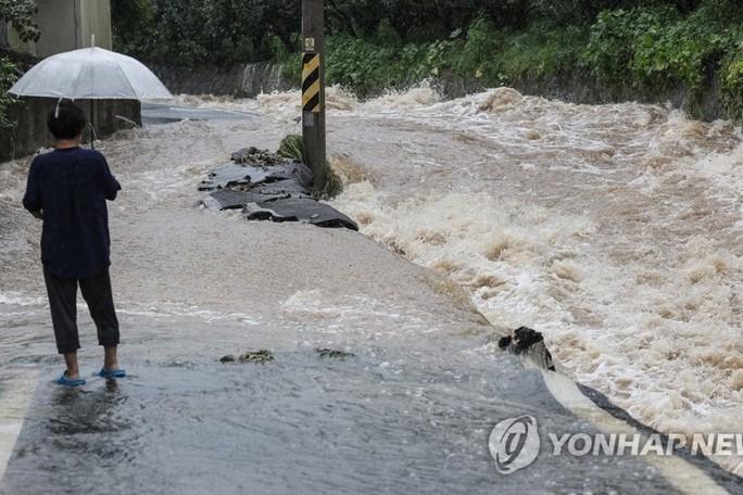 2 min 28 - Cơn bão bất thường Khanun đổ bộ Hàn Quốc, 'xuyên dọc' bán đảo Triều Tiên