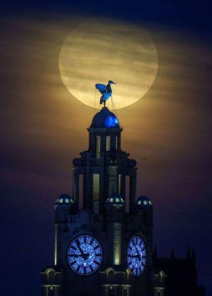 Mặt trăng ph&iacute;a sau T&ograve;a nh&agrave; Royal Liver v&agrave; tượng Liver Bird tại th&agrave;nh phố Liverpool, Anh