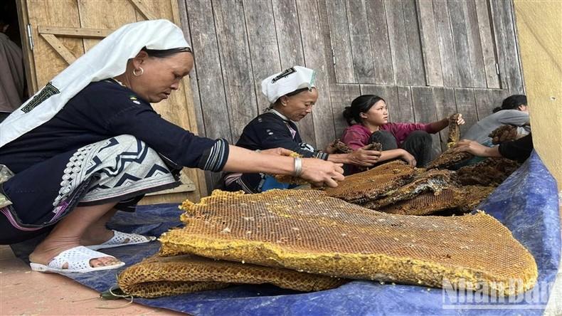 4 5 - Rộn ràng ngày thu hoạch sáp ong ở Hoài Khao