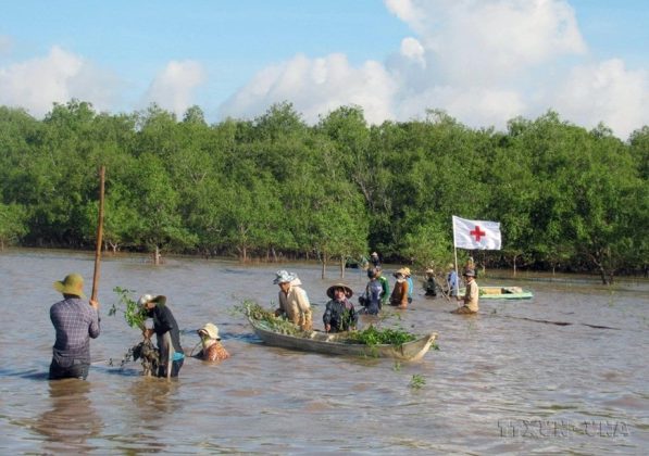 Lễ ra qu&acirc;n trồng 20ha rừng ngập mặn ven biển huyện Trần Đề, tỉnh S&oacute;c Trăng. (Ảnh: Trung Hiếu/TTXVN)