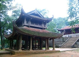 Đừng để phục cổ thành... “lộn cô” - Tác giả: Hoài Nam