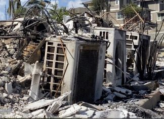 Đã xác định được nguyên nhân gây cháy rừng thảm khốc ở Hawaii