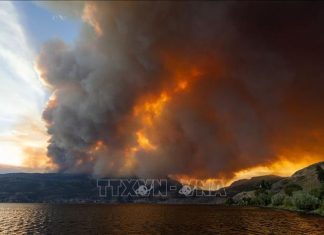 Hàng chục nghìn người phải sơ tán do cháy rừng ở Canada