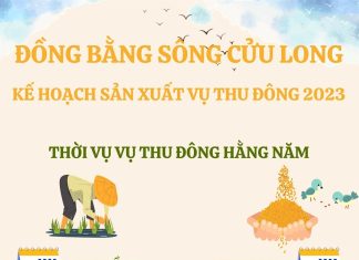 Kế hoạch sản xuất vụ Thu Đông 2023 của Đồng bằng sông Cửu Long