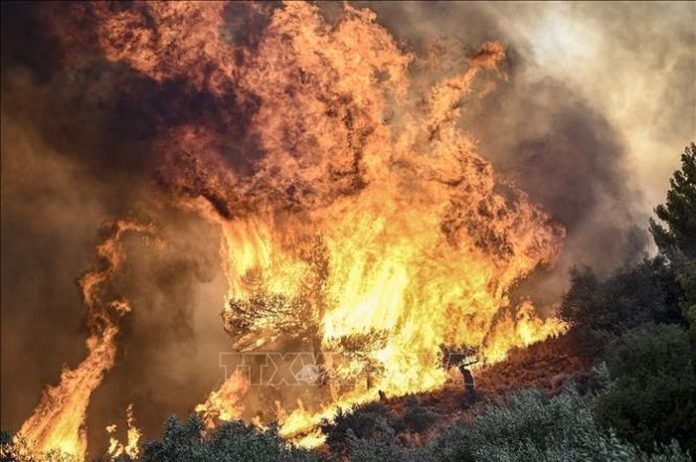 Cháy rừng đe dọa tu viện di sản thế giới ở Hy Lạp