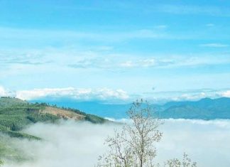 Khánh Hòa: Quy hoạch 2 huyện miền núi theo hướng đô thị tiểu vùng sinh thái rừng Khánh Hòa: Quy hoạch 2 huyện miền núi theo hướng đô thị tiểu vùng sinh thái rừng