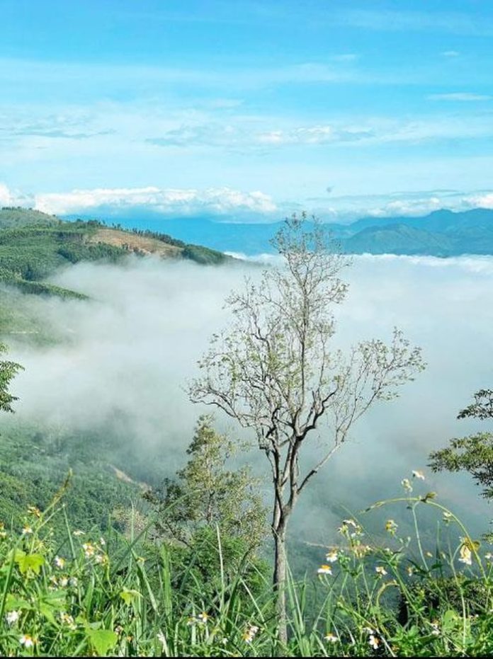 Khánh Hòa: Quy hoạch 2 huyện miền núi theo hướng đô thị tiểu vùng sinh thái rừng