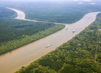 Rừng Cần Giờ dư sức thành Ramsar Rừng Cần Giờ dư sức thành Ramsar