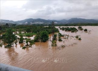 Phố núi Bảo Lộc ngập nặng sau trận mưa suốt đêm