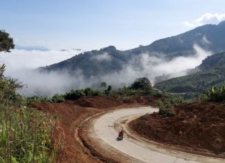 Sâm Ngọc Linh bén rễ ở Sa Mù